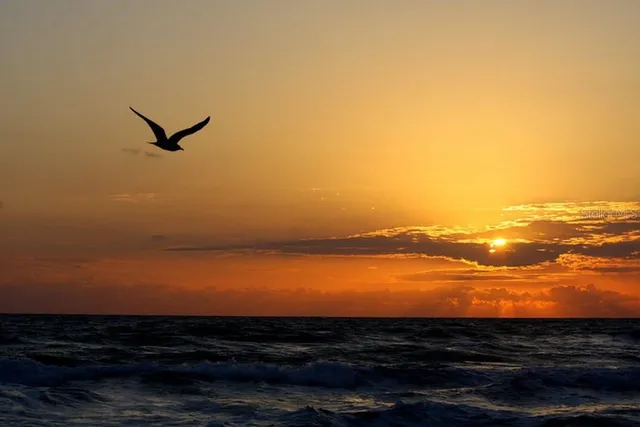 $750,000 | 2815 Bay Side Drive, New Smyrna Beach, FL 32168