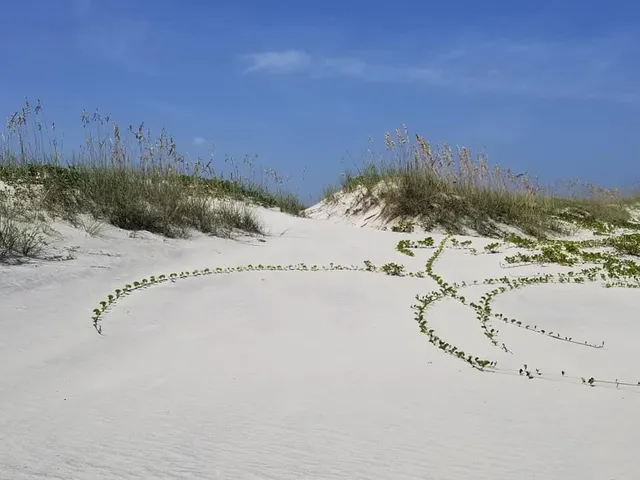 $750,000 | 2815 Bay Side Drive, New Smyrna Beach, FL 32168