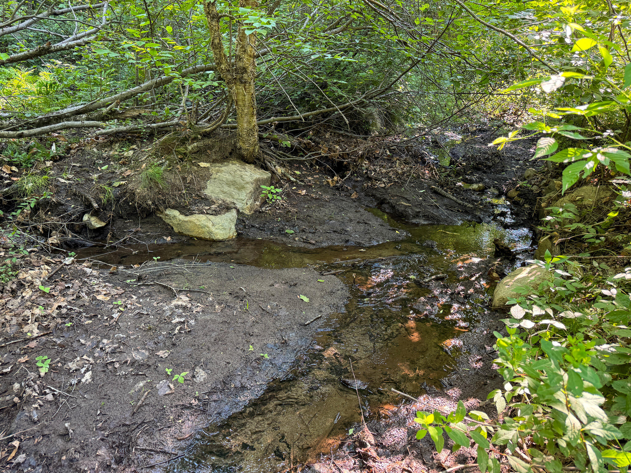 M8-l4 Mountain Road Mount Chase, ME 04765 - Photo 11 of 35 11