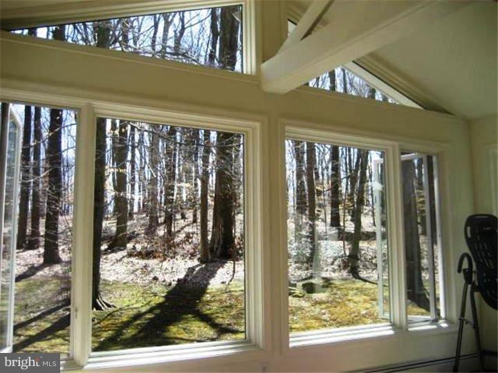 6888 Upper York Road New Hope, PA 18938 - Photo 4 of 23 Sun Room