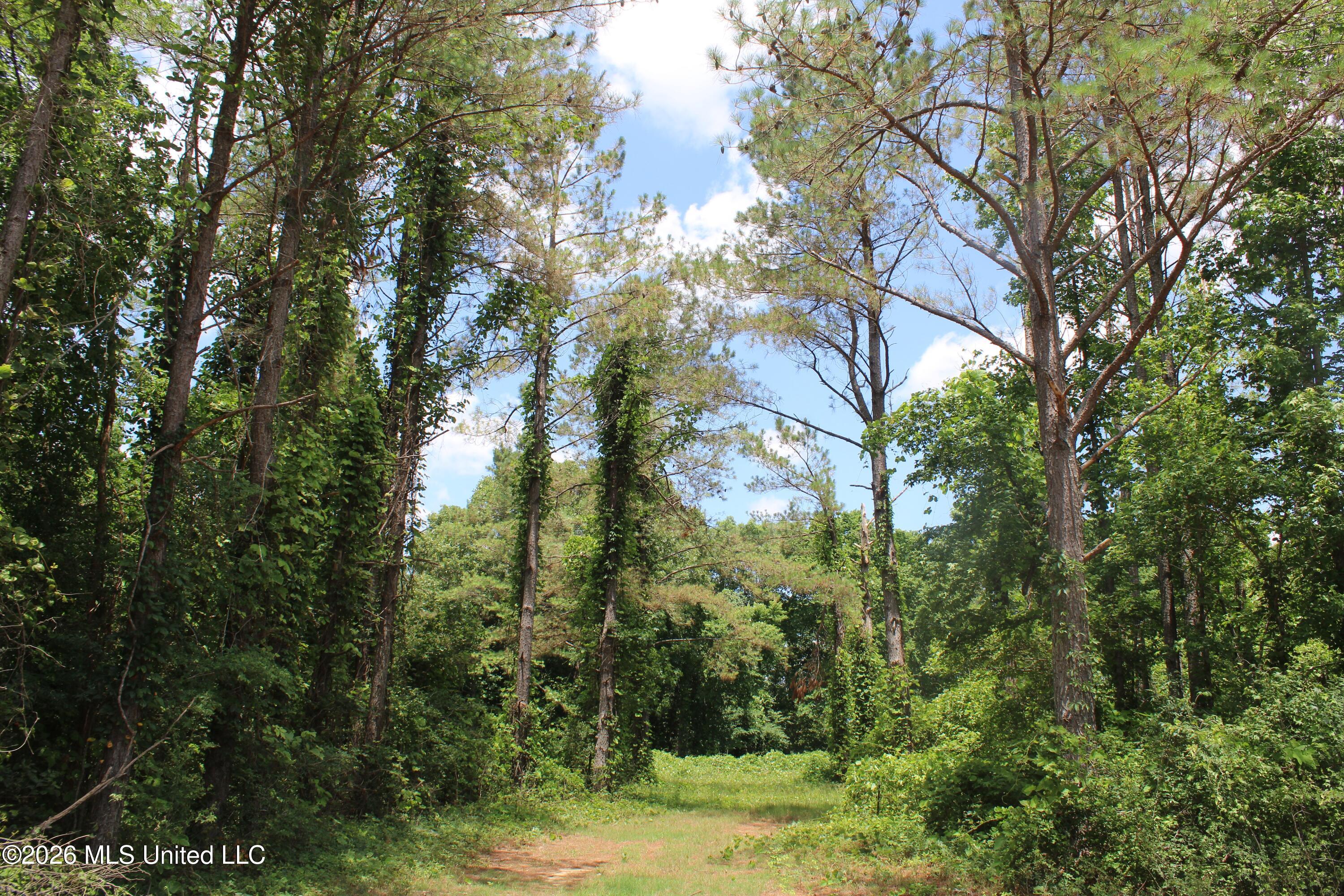 0 Scruggs Road Holly Springs, MS 38635 - Photo 24 of 25 IMG_7875