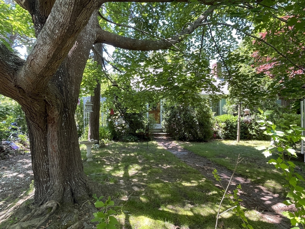 44 Mill Pond Road Yarmouth, MA 02673 - Photo 3 of 10 Gallery Image 3
