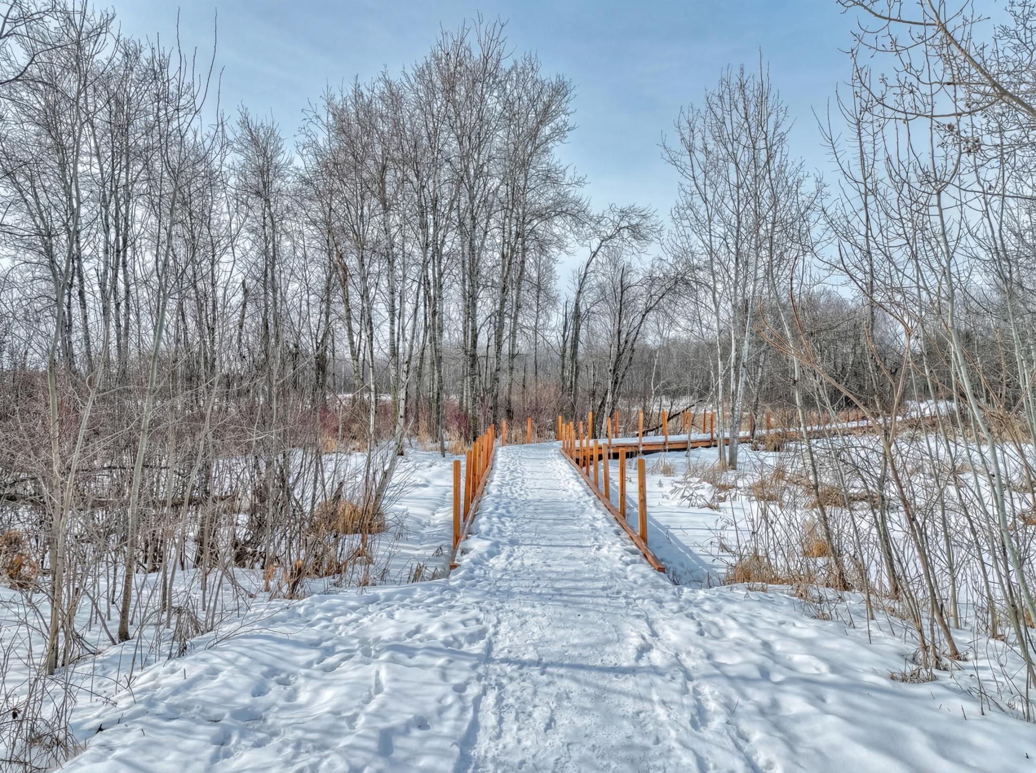 858 Fox Road Lino Lakes, MN 55014 - Photo 56 of 56