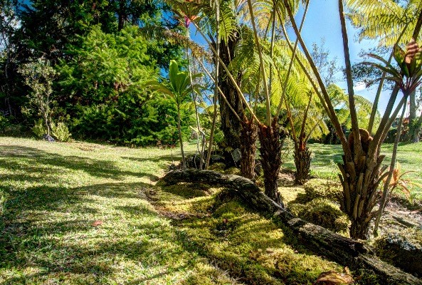 11-3337 Old Volcano Road Volcano, HI 96771 - Photo 11 of 24