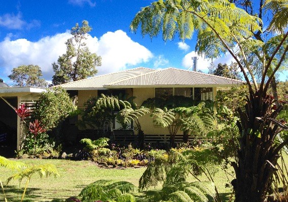 11-3337 Old Volcano Road Volcano, HI 96771 - Photo 3 of 24