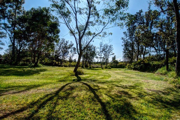 11-3337 Old Volcano Road Volcano, HI 96771 - Photo 9 of 24