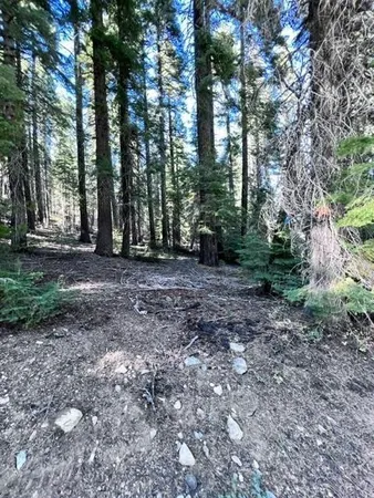 $56,500 | 101 Snowshoe Lane, Strawberry Valley, CA 95981