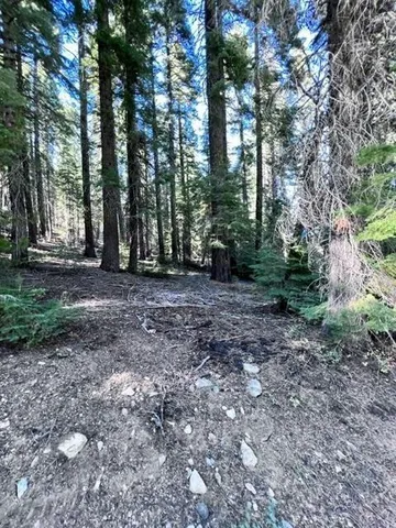 $56,500 | 101 Snowshoe Lane, Strawberry Valley, CA 95981