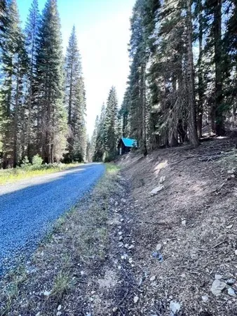 $56,500 | 101 Snowshoe Lane, Strawberry Valley, CA 95981