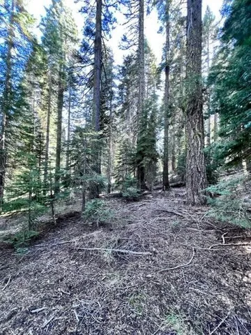 $56,500 | 101 Snowshoe Lane, Strawberry Valley, CA 95981