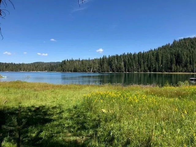 $56,500 | 101 Snowshoe Lane, Strawberry Valley, CA 95981