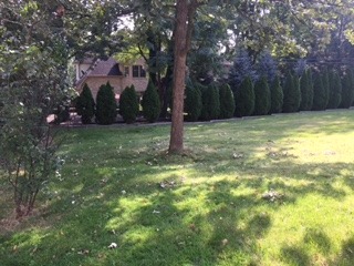 811 Taft Road Hinsdale, IL 60521 - Photo 3 of 5