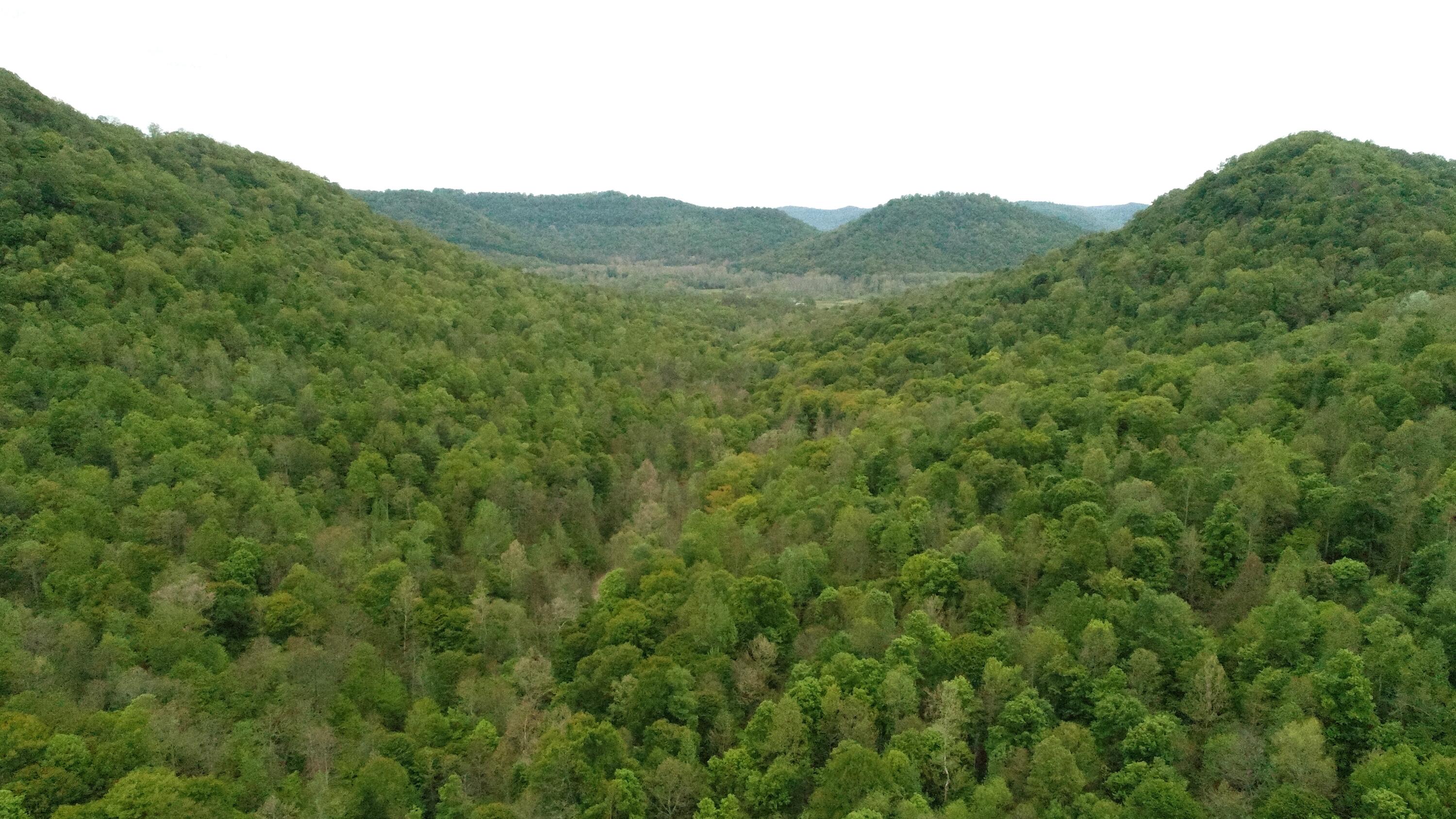 460.2 Cow Creek Road Ravenna, KY 40472 - Photo 27 of 46 Towards Cow Creek!