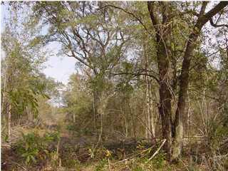 A Baker Road Milton, FL 32570 - Photo 1 of 3 Gallery Image 1