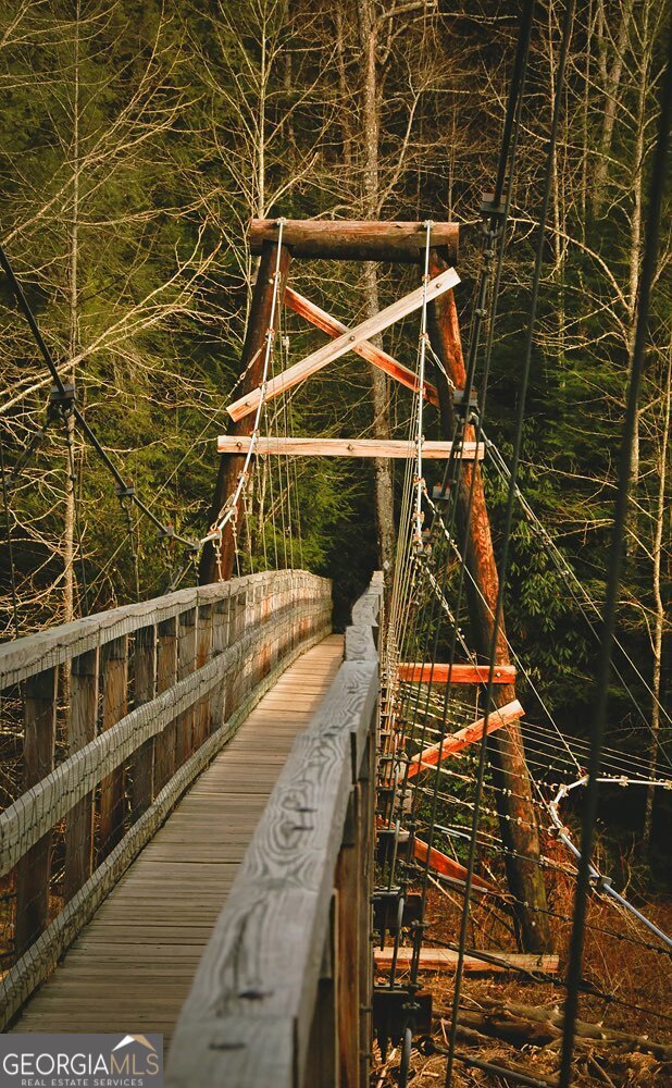 47 Downy Road, Unit 2 Blue Ridge, GA 30513 - Photo 12 of 95