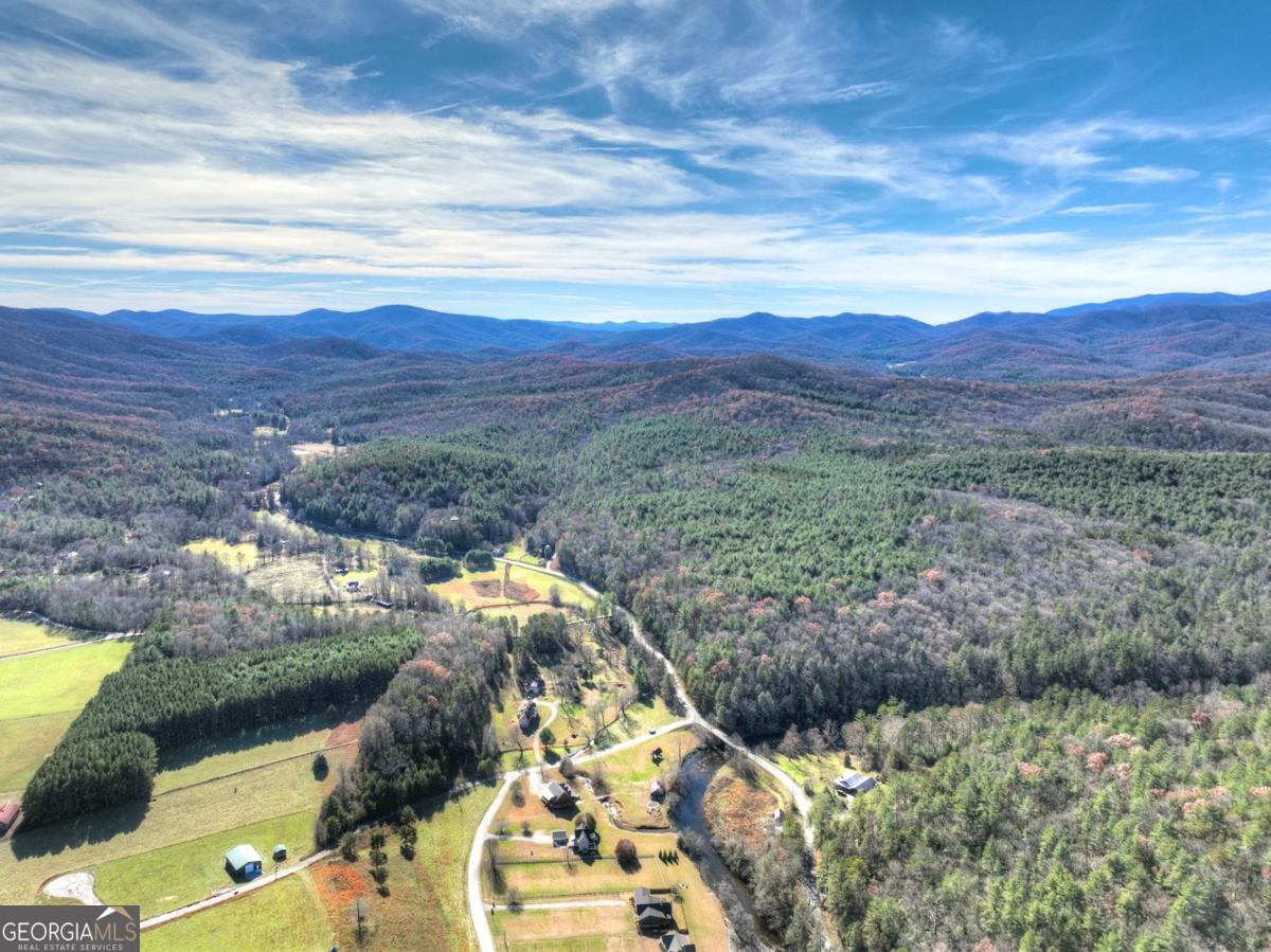 47 Downy Road, Unit 2 Blue Ridge, GA 30513 - Photo 14 of 95 a view of an outdoor space and mountain view