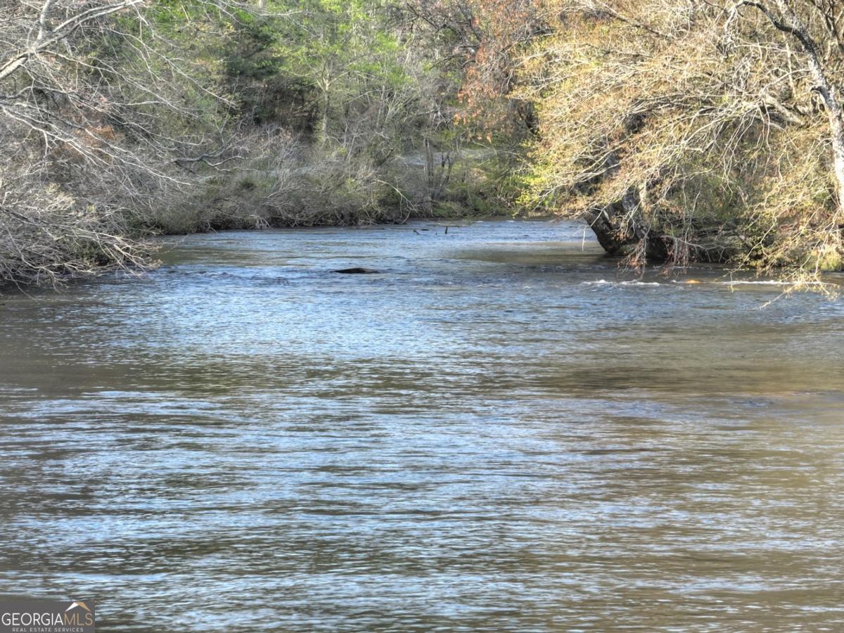 47 Downy Road, Unit 2 Blue Ridge, GA 30513 - Photo 2 of 95