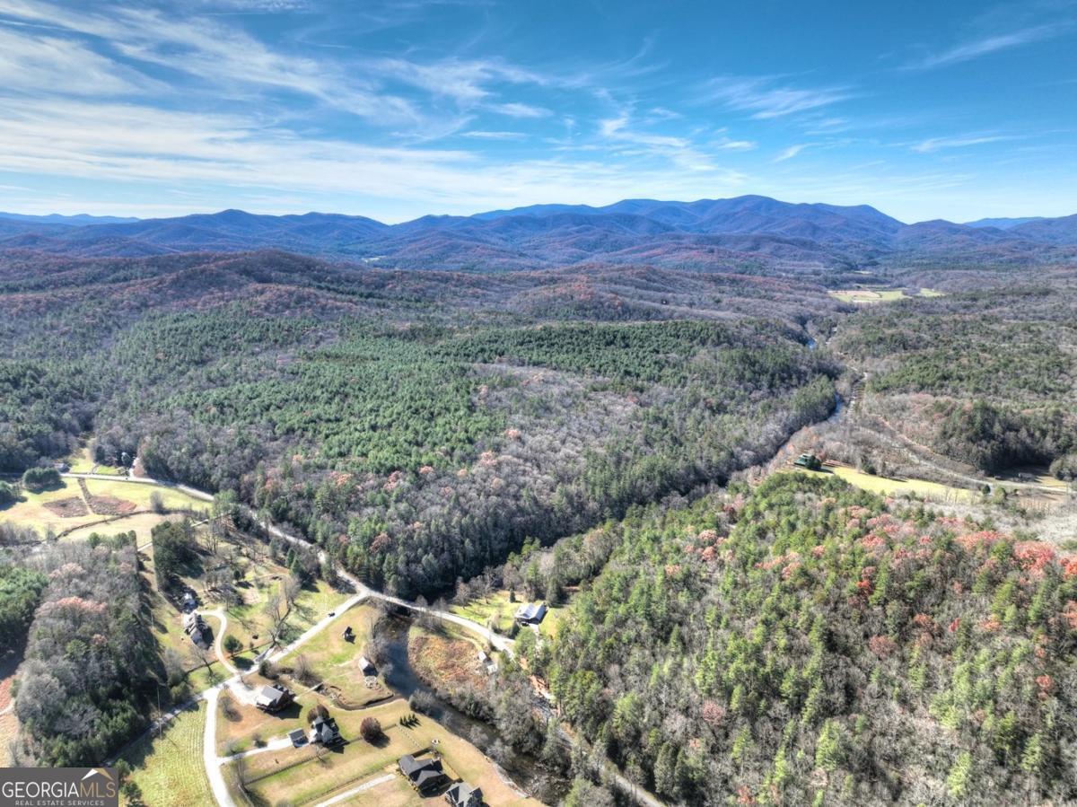 47 Downy Road, Unit 2 Blue Ridge, GA 30513 - Photo 21 of 95 a view of a lush green hillside and a houses