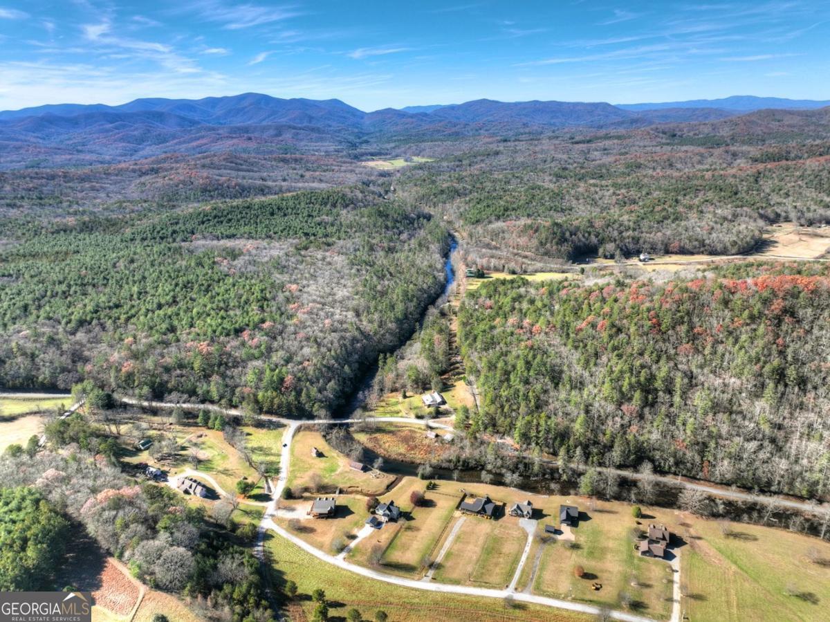 47 Downy Road, Unit 2 Blue Ridge, GA 30513 - Photo 27 of 95 a view of a lush green hillside and a houses