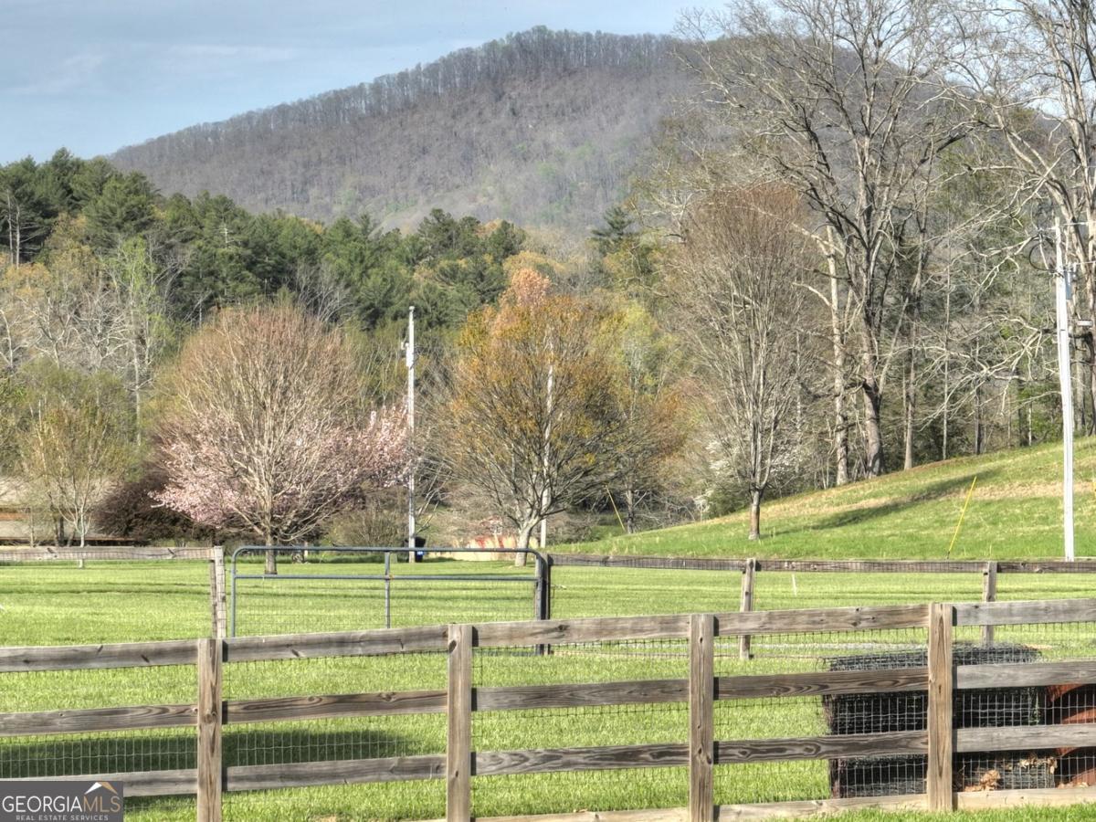 47 Downy Road, Unit 2 Blue Ridge, GA 30513 - Photo 44 of 95