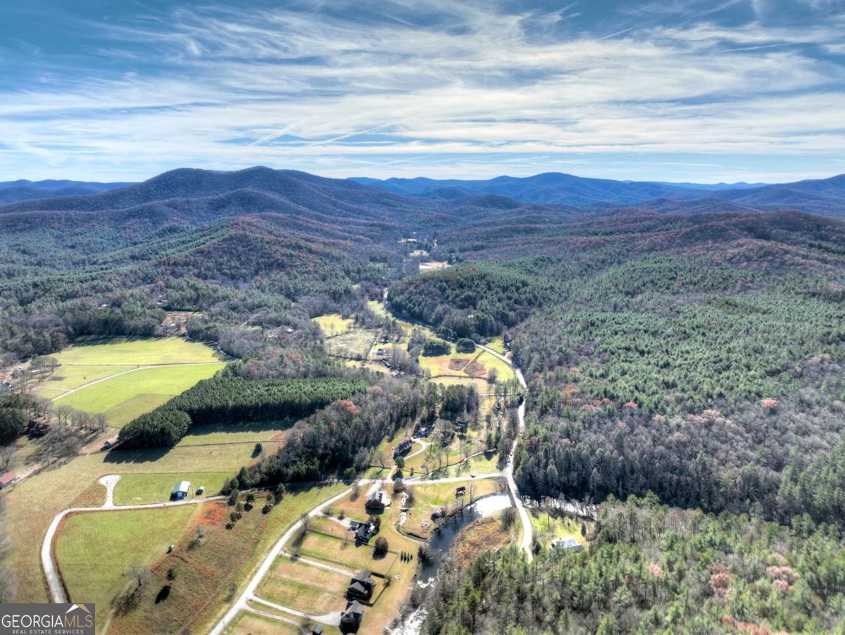 47 Downy Road, Unit 2 Blue Ridge, GA 30513 - Photo 9 of 95