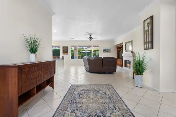 a living room with furniture and a potted plant