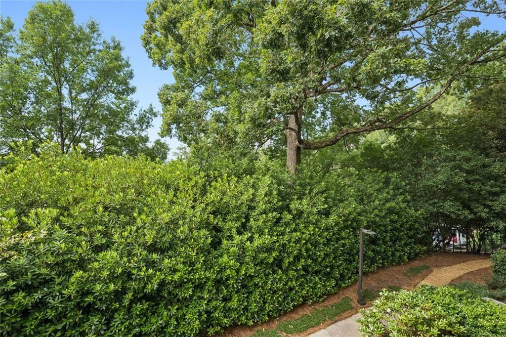 2765 Peachtree Road Northeast, Unit 3 Atlanta, GA 30305 - Photo 22 of 30 a view of a garden with plants