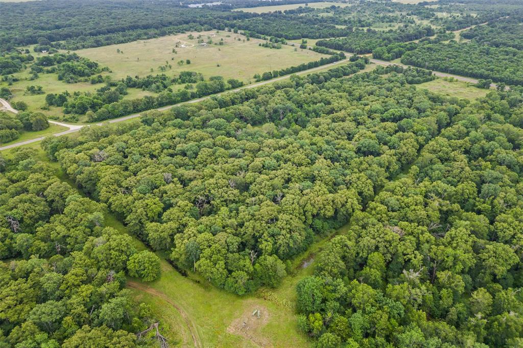 0 County Road 493 Athens, TX 75751 - Photo 3 of 5 a view of a forest with a lake