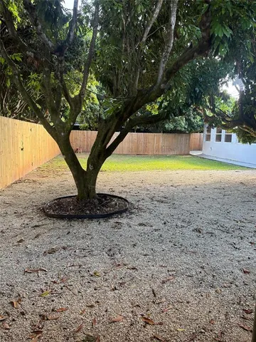 a view of a yard with a tree and a slide