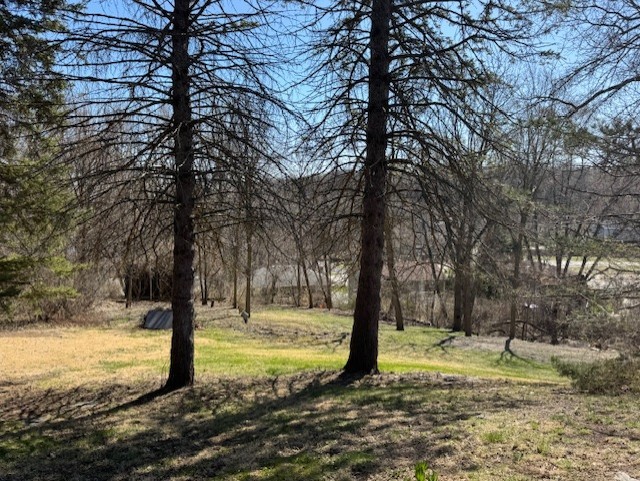 707 Crestview Drive Ingleside, IL 60041 - Photo 6 of 15 a view of a tree with a yard