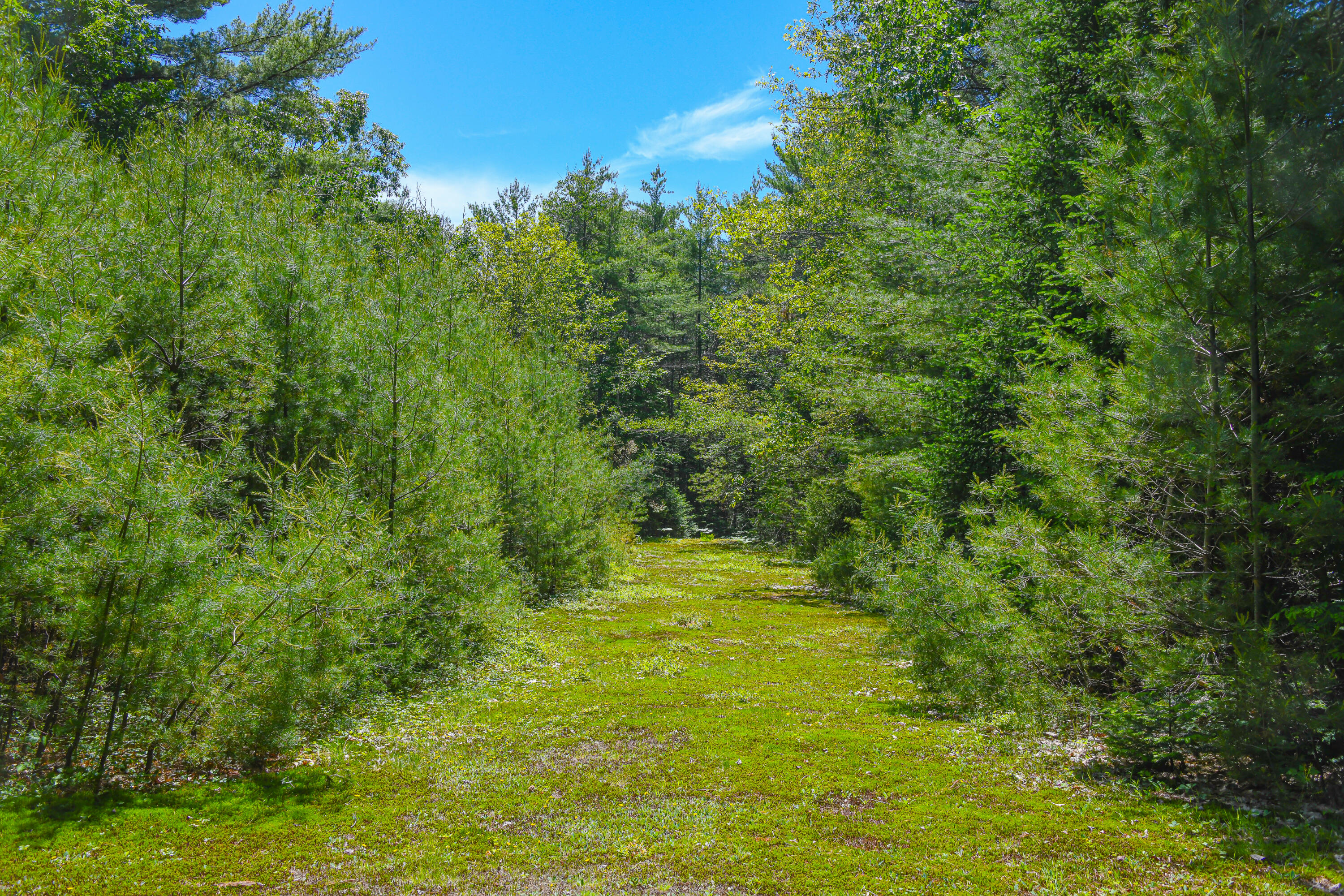 82 Swamp Road Bridgton, ME 04009 - Photo 35 of 42 82 swamp road-10