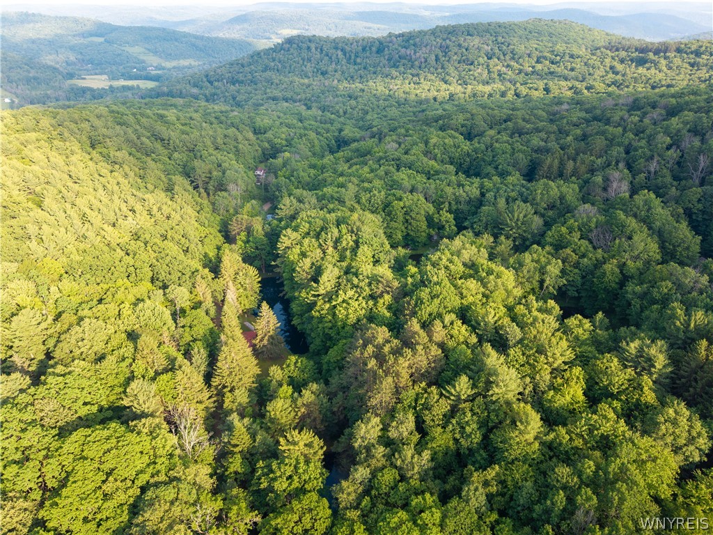 9173 Lyman Road Clarksville, NY 14727 - Photo 8 of 48 Drone
