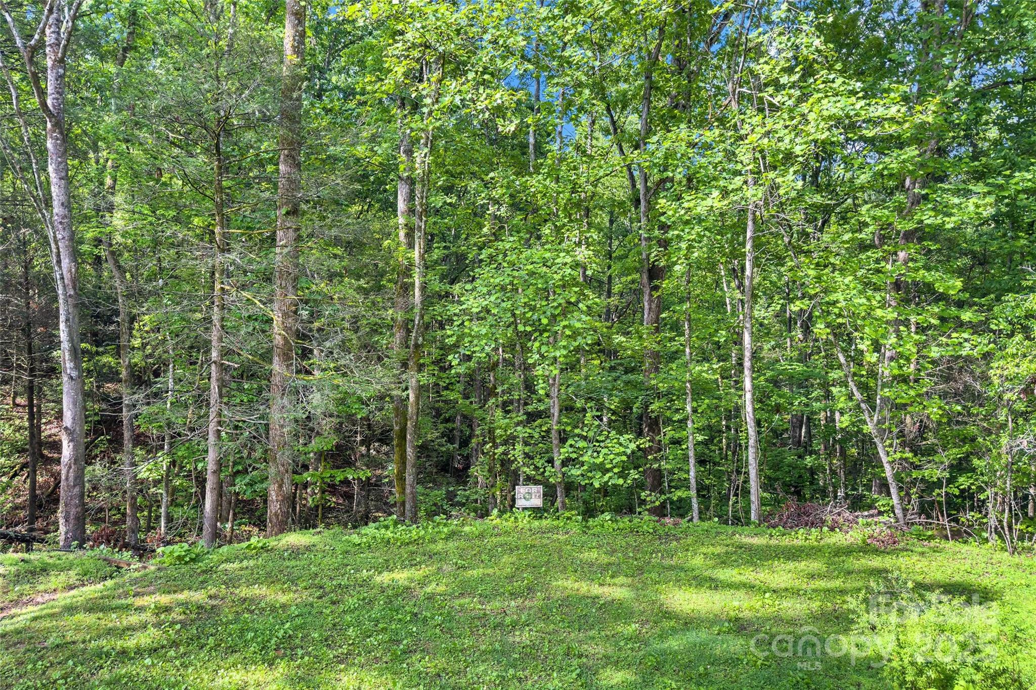 190 Lightning Ridge Drive Marion, NC 28752 - Photo 22 of 26 Gallery Image 22