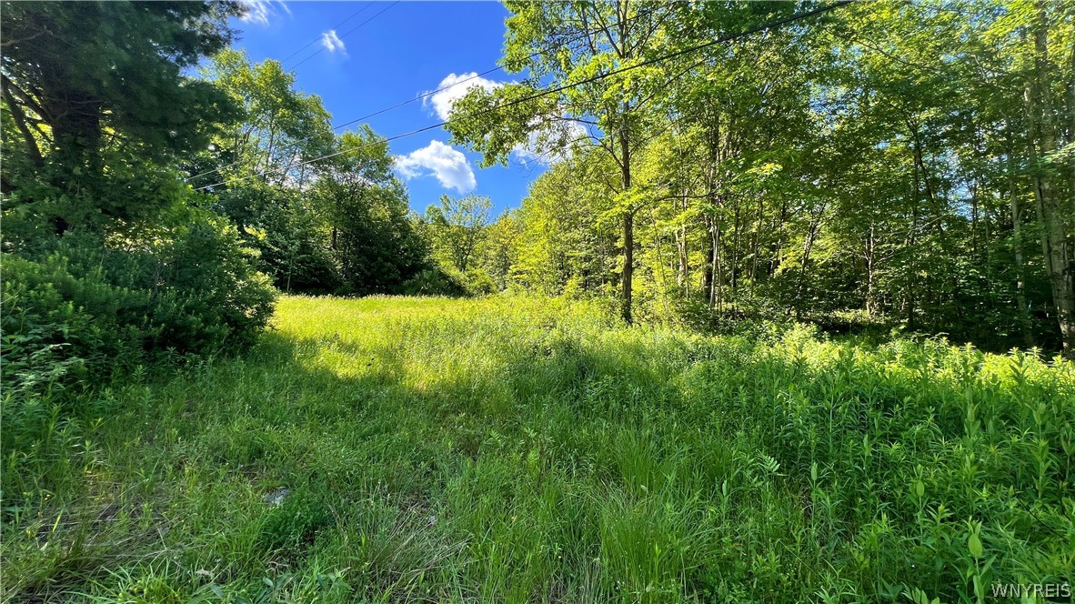 Cherry Valley Road Allegany, NY 14706 - Photo 2 of 7