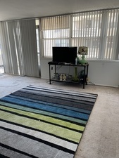 6301 North Sheridan Road, Unit 8P Chicago, IL 60660 - Photo 5 of 9 a living room with a bed furniture and a flat screen tv