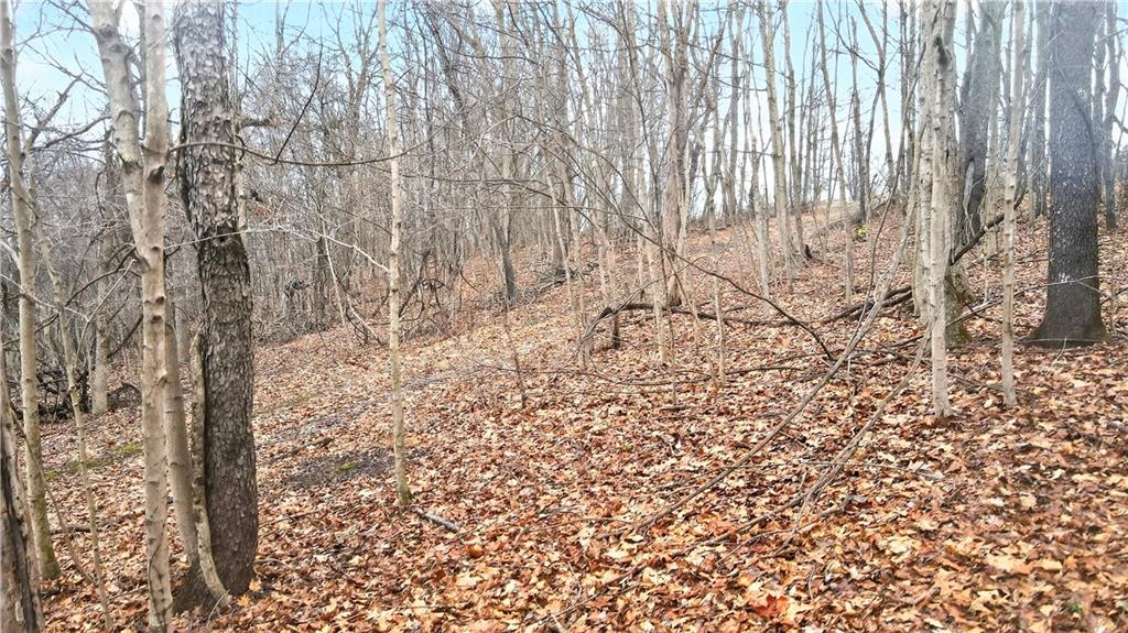 220 Main Road West Alexander, PA 15376 - Photo 37 of 44