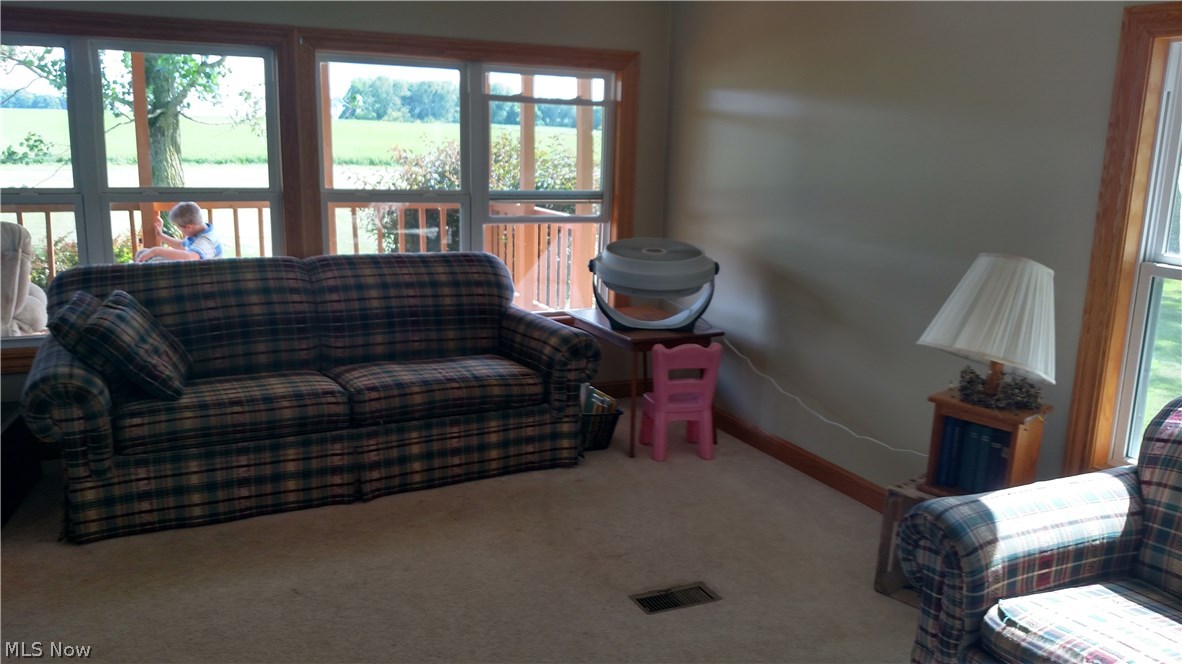 11025 Hiner Road Wooster, OH 44691 - Photo 3 of 7