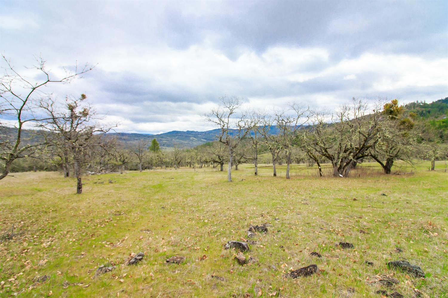 0 Wren Ridge Eagle Point, OR 97524 - Photo 4 of 12 Additional Photo