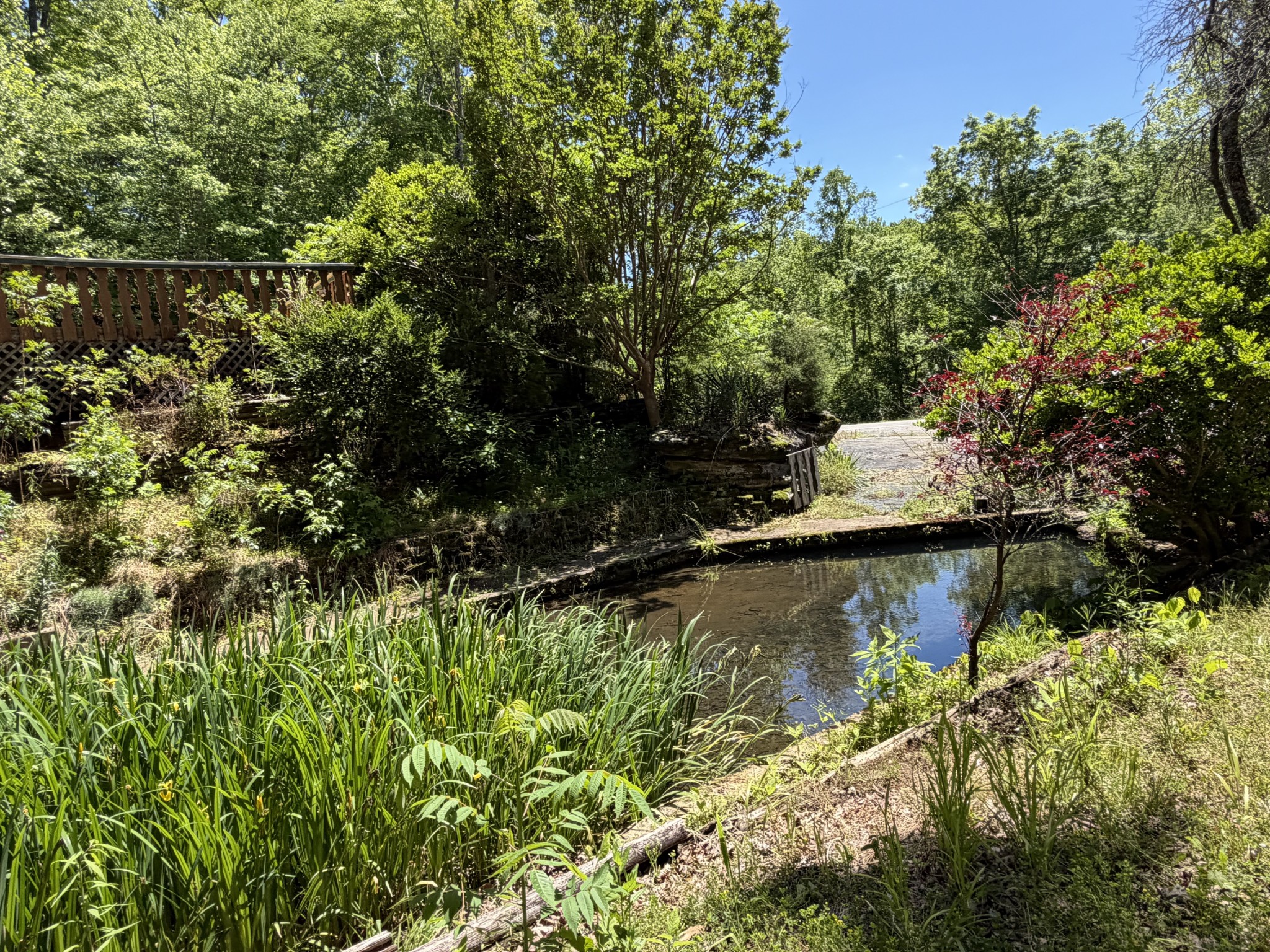 242 Cane Creek Road Hohenwald, TN 38462 - Photo 69 of 78 Gallery Image 69