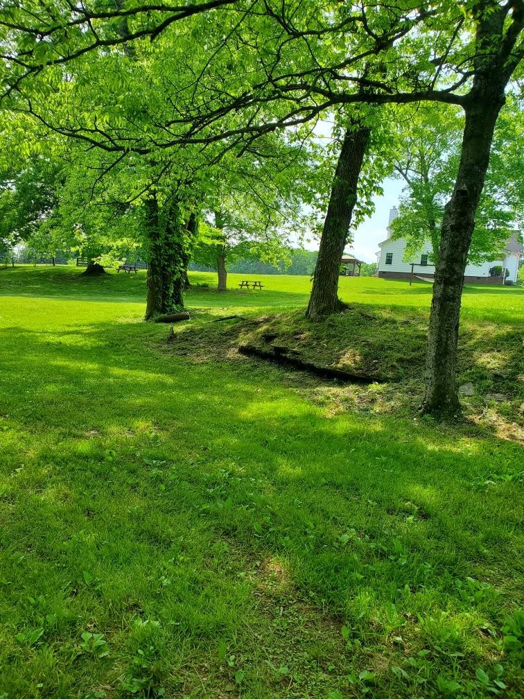 5235 Flat Creek Road Spring Hill, TN 37174 - Photo 55 of 65 a view of a trees with a yard