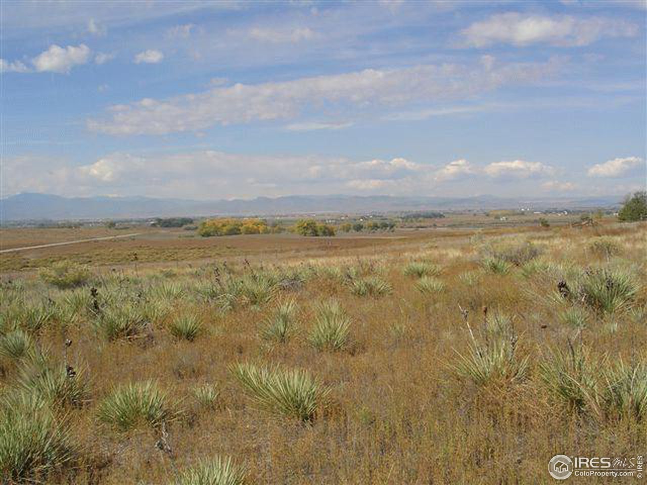 100 County Road Nunn, CO 80648 - Photo 5 of 12