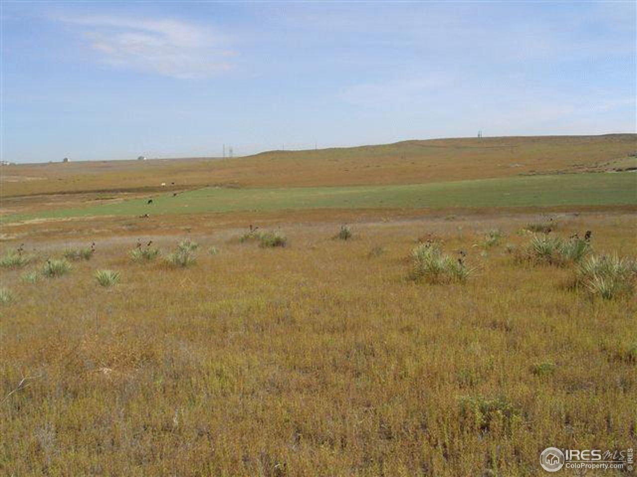100 County Road Nunn, CO 80648 - Photo 8 of 12 a view of an ocean
