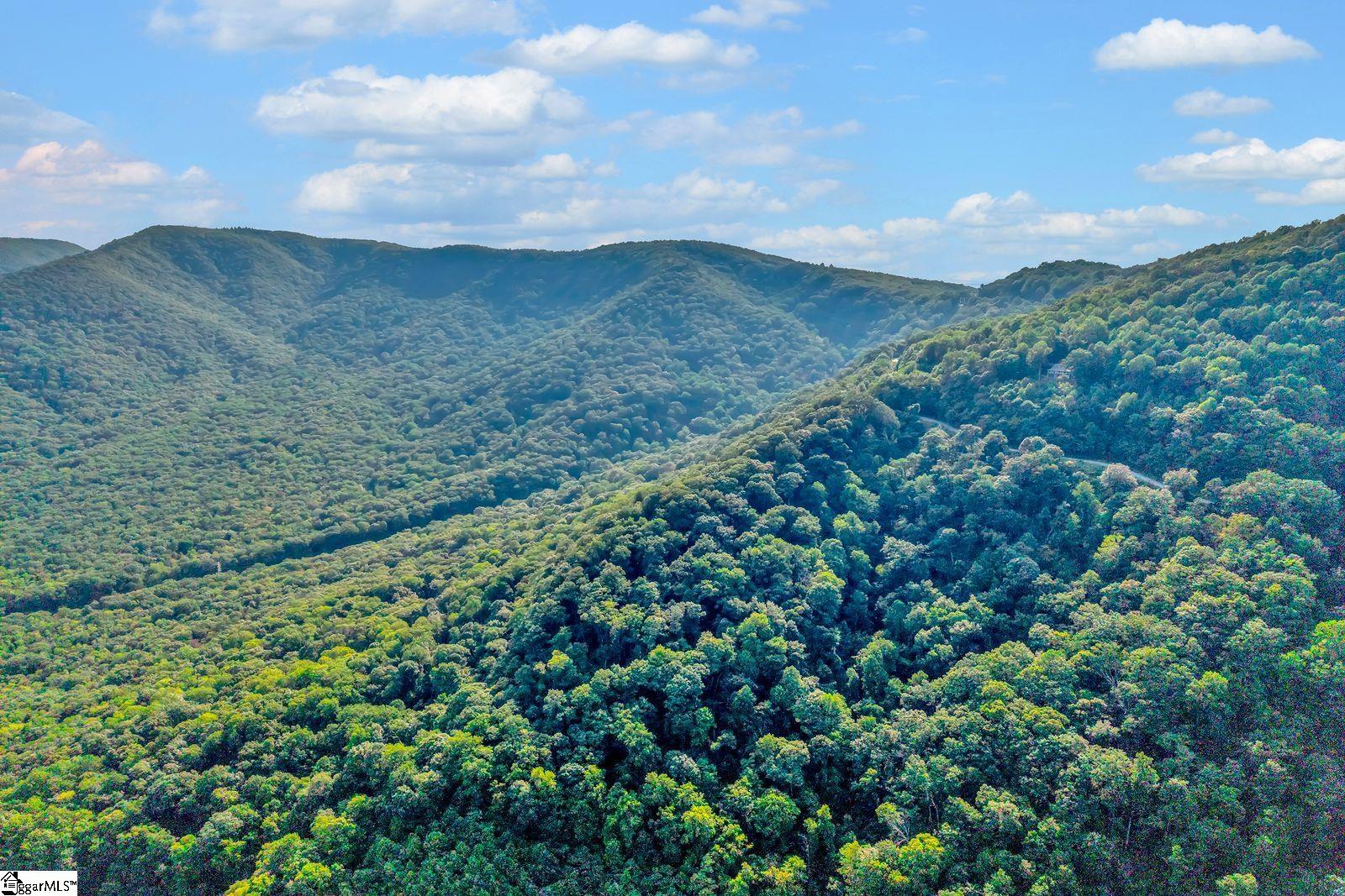 0 Hogback Mountain Road Tryon, NC 28782 - Photo 13 of 16 Gallery Image 13