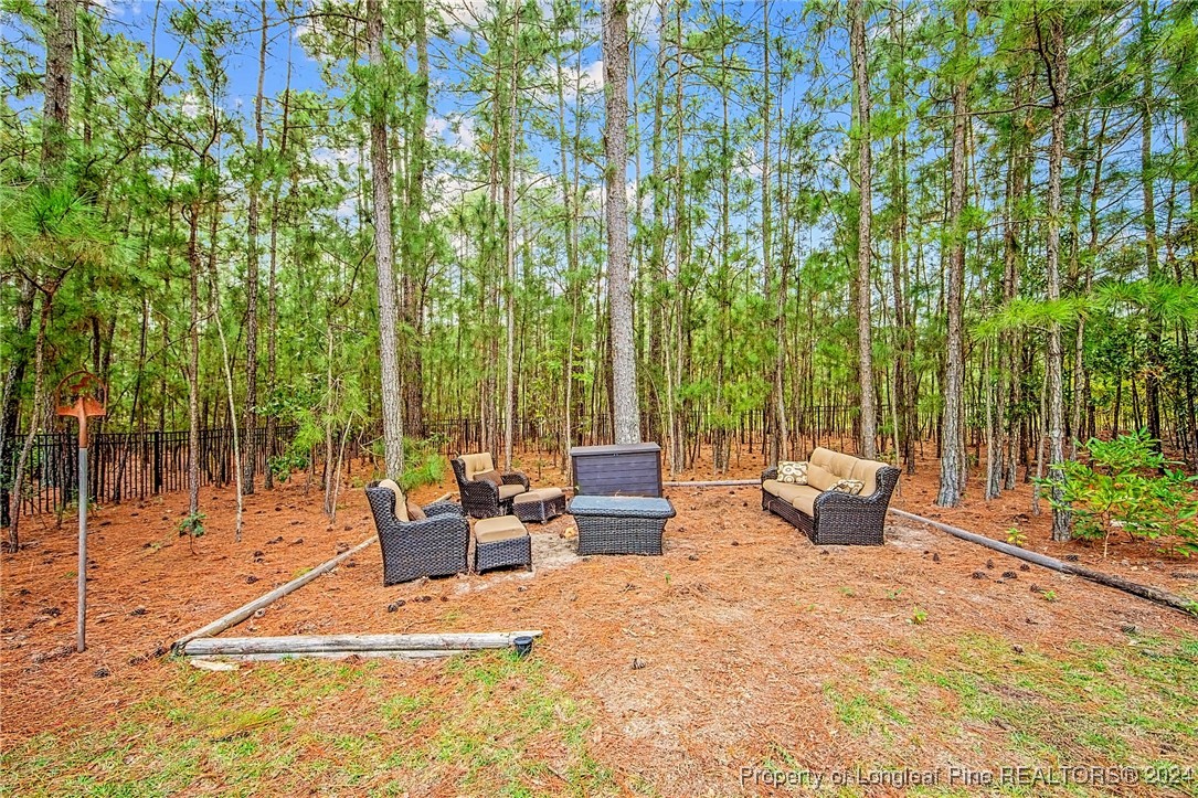 145 Leesville Loop Aberdeen, NC 28315 - Photo 38 of 41