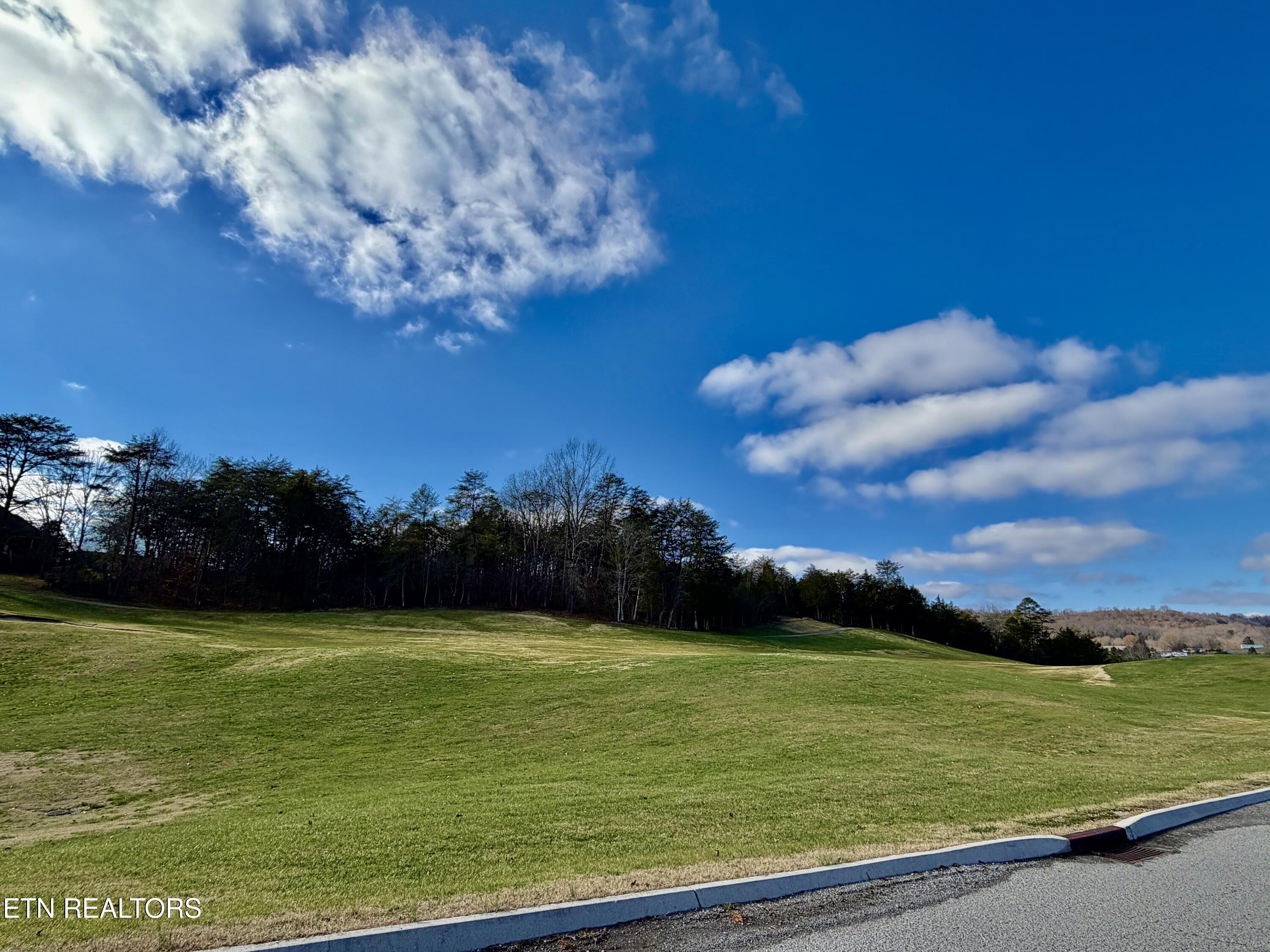 Divot Place Tazewell, TN 37879 - Photo 15 of 16 IMG_0763