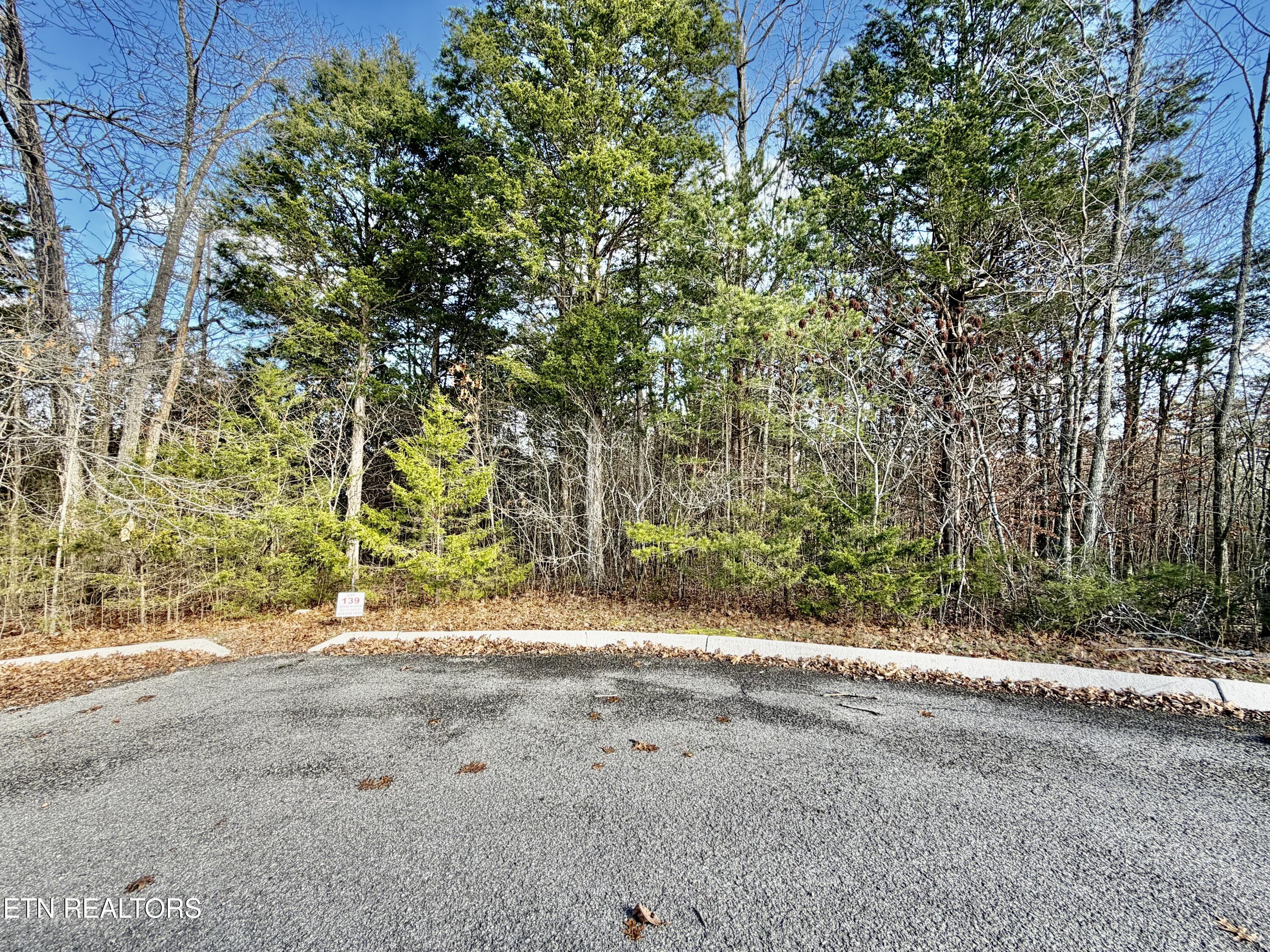 Divot Place Tazewell, TN 37879 - Photo 2 of 16 IMG_0745