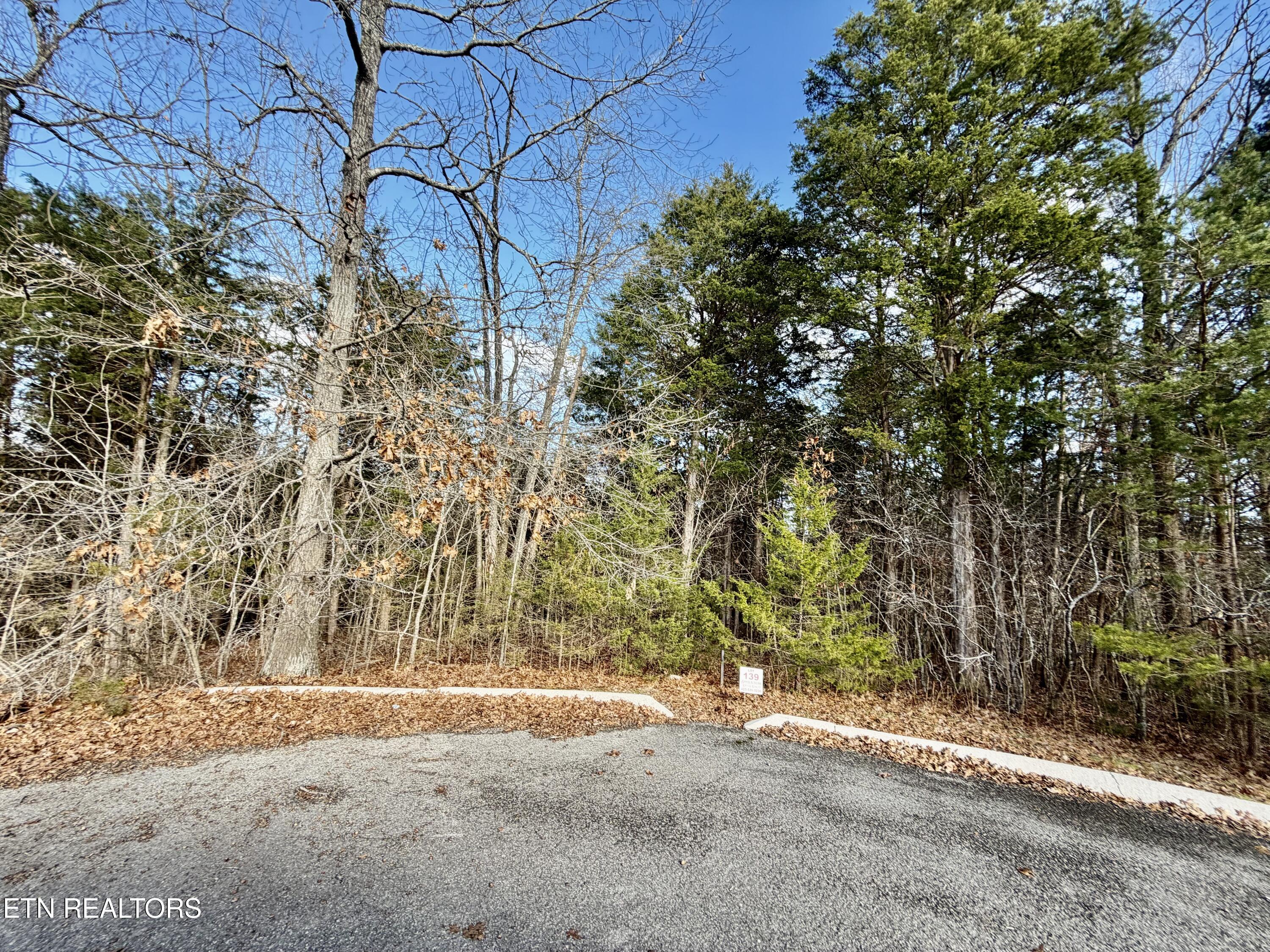 Divot Place Tazewell, TN 37879 - Photo 3 of 16 IMG_0743