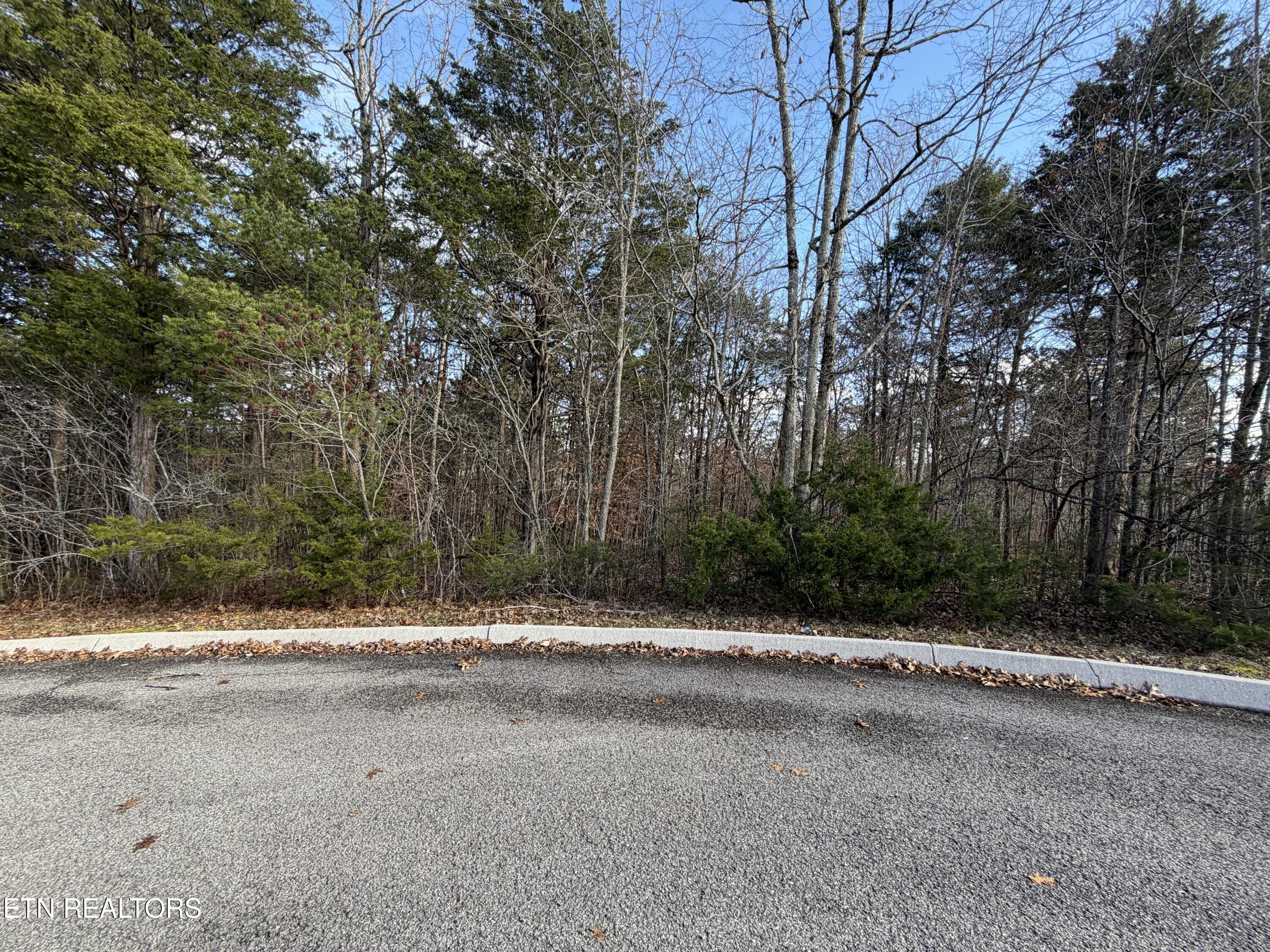 Divot Place Tazewell, TN 37879 - Photo 4 of 16 IMG_0749