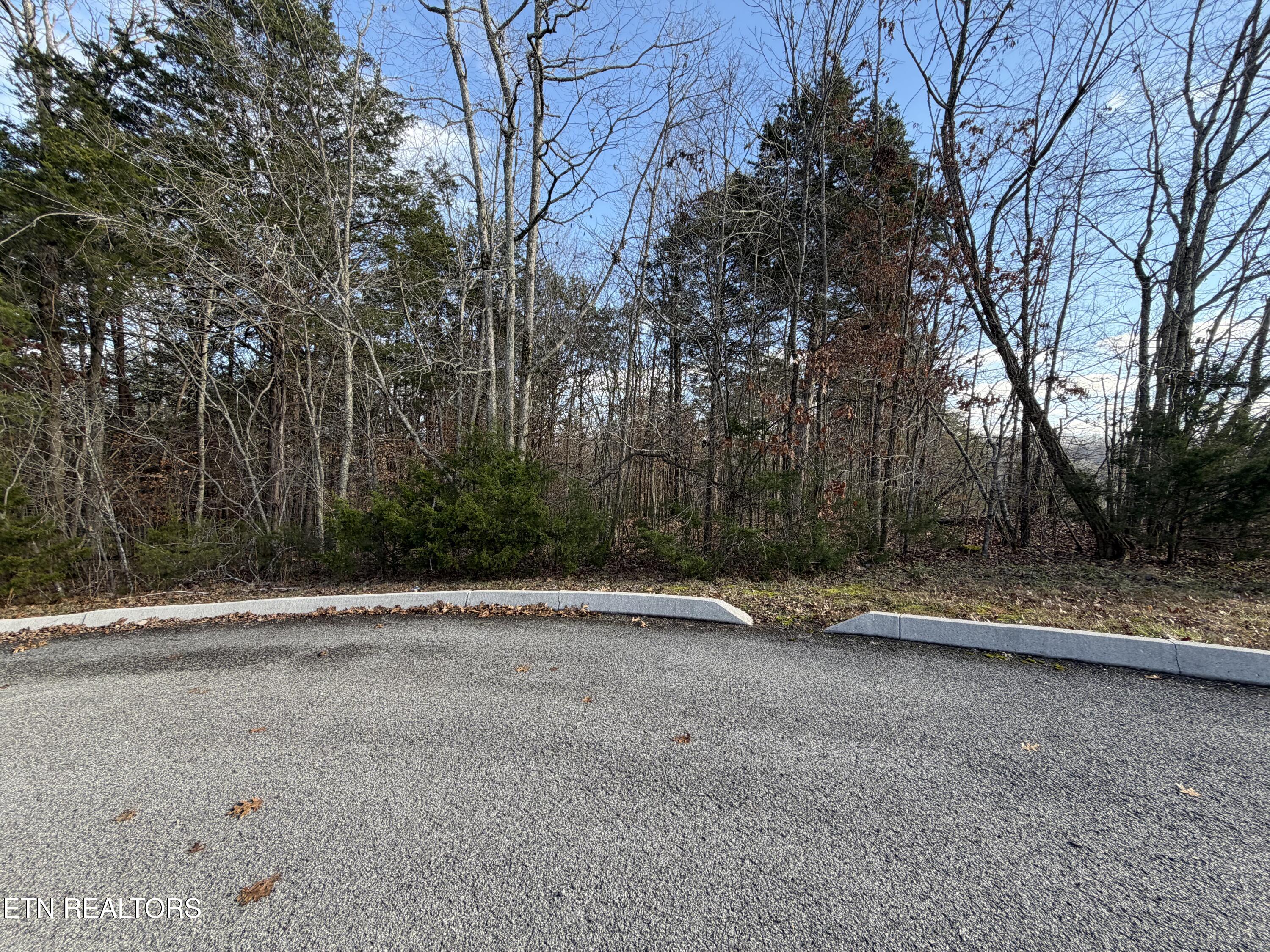 Divot Place Tazewell, TN 37879 - Photo 7 of 16 IMG_0750