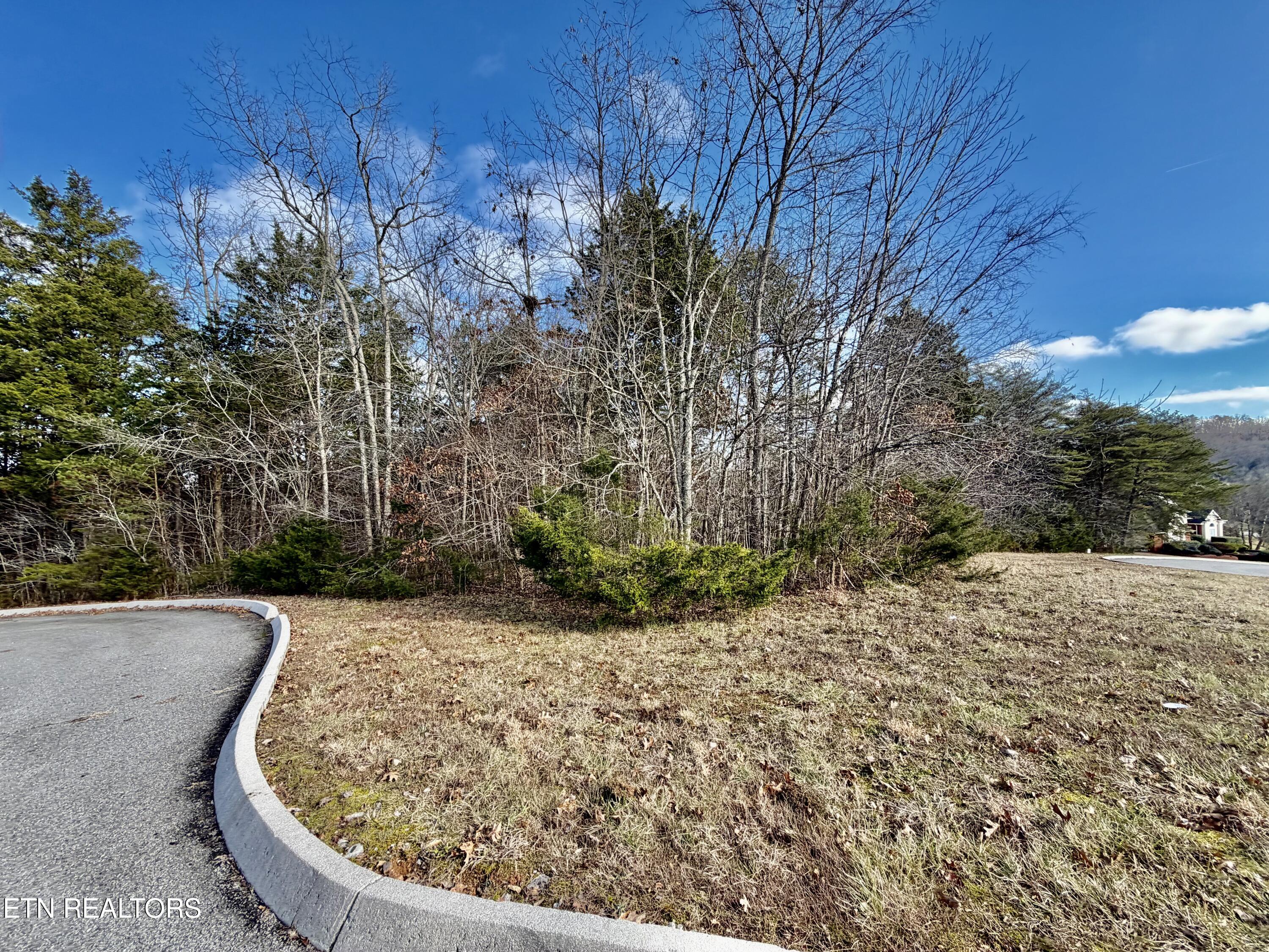 Divot Place Tazewell, TN 37879 - Photo 8 of 16 IMG_0751